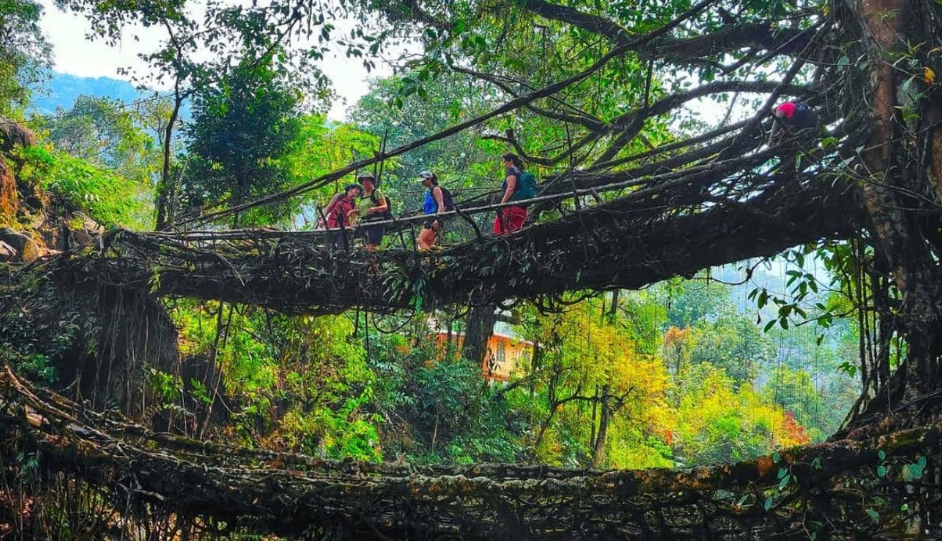 Double Decker Living Root Bridge Trek: Nongriat Route, 3,500 Steps, Rainbow Falls & Real Difficulty